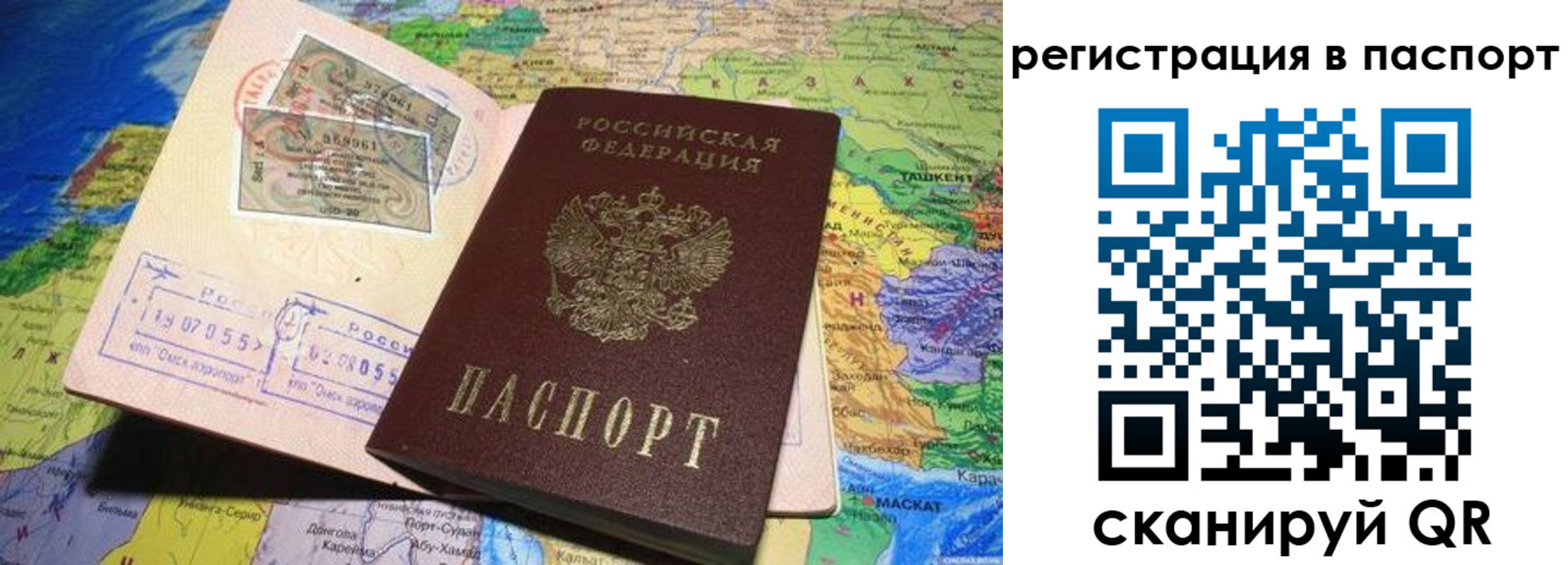 прописка гарантия в Новодвинске